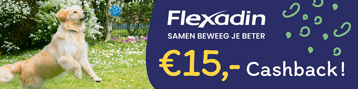Flexadin beweeg je beter